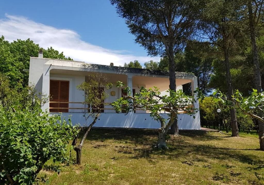 Photo of Outdoor in Matino
