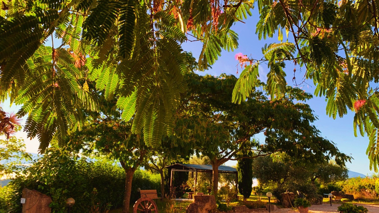 Photo of Outdoor in Monteluiano