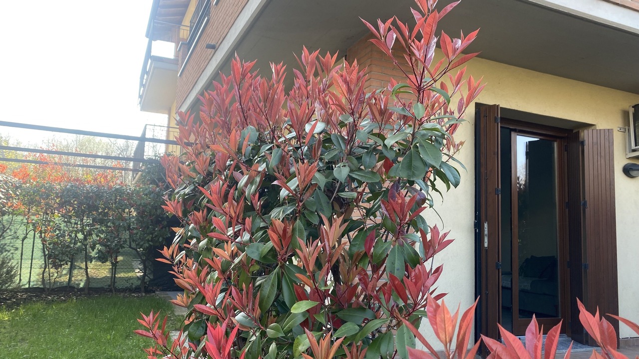 Photo of Outdoor in Albate