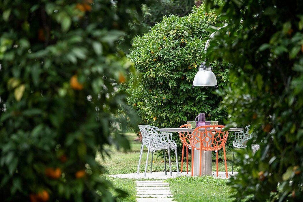 Photo of Outdoor in Limone sul Garda