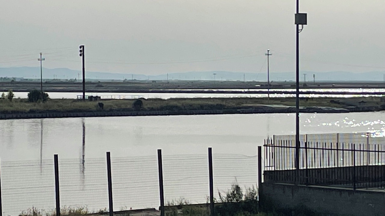Photo of Outdoor in Margherita di Savoia