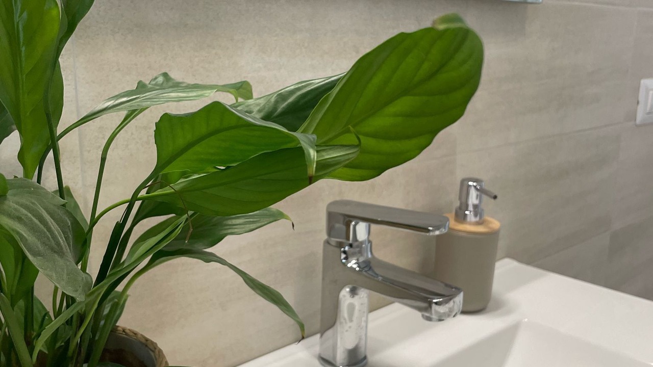 Photo of Bathroom in Quartiere XXIV Don Bosco