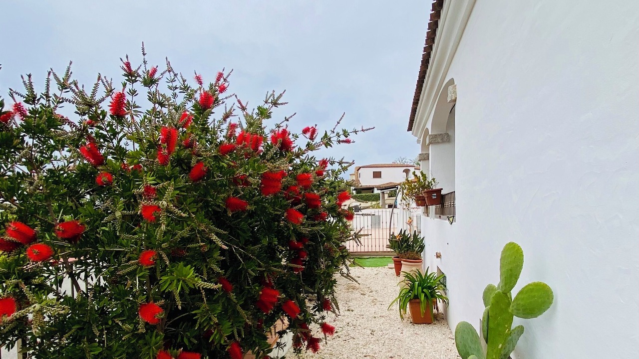 Photo of Outdoor in Tanaunella