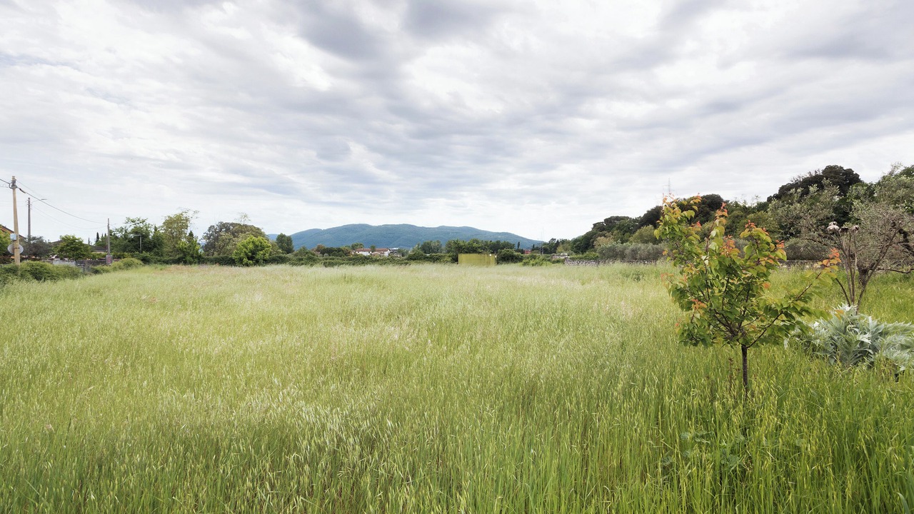 Photo of Others in Sarzana