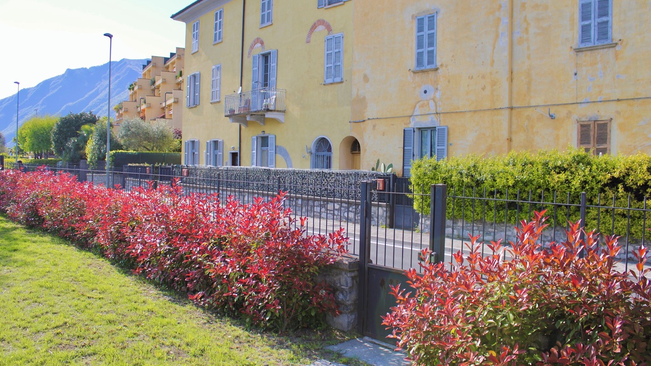 Photo of Outdoor in Cima