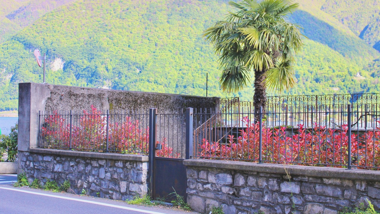 Photo of Outdoor in Cima