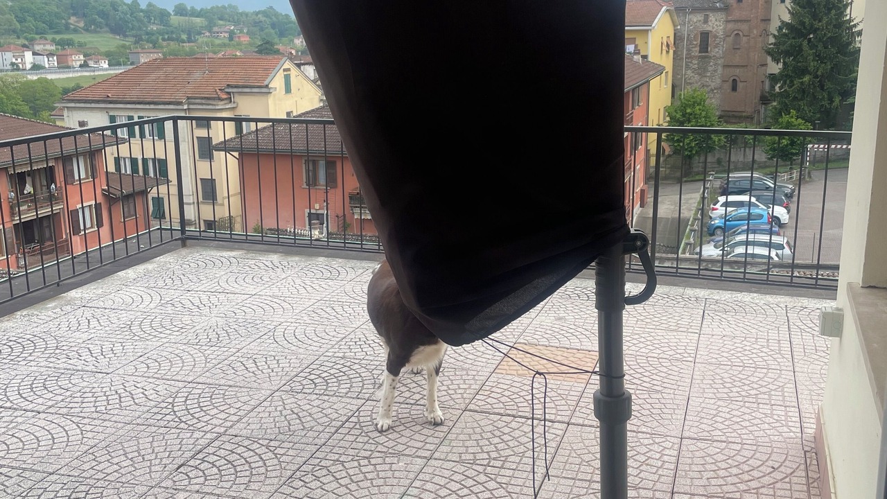 Photo of Others in Serravalle Scrivia