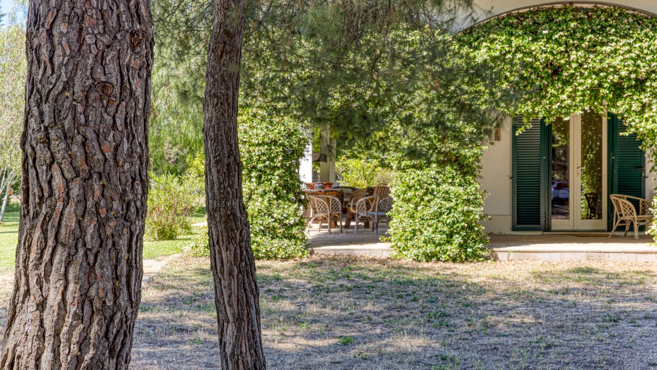 Photo of Outdoor in Galatina