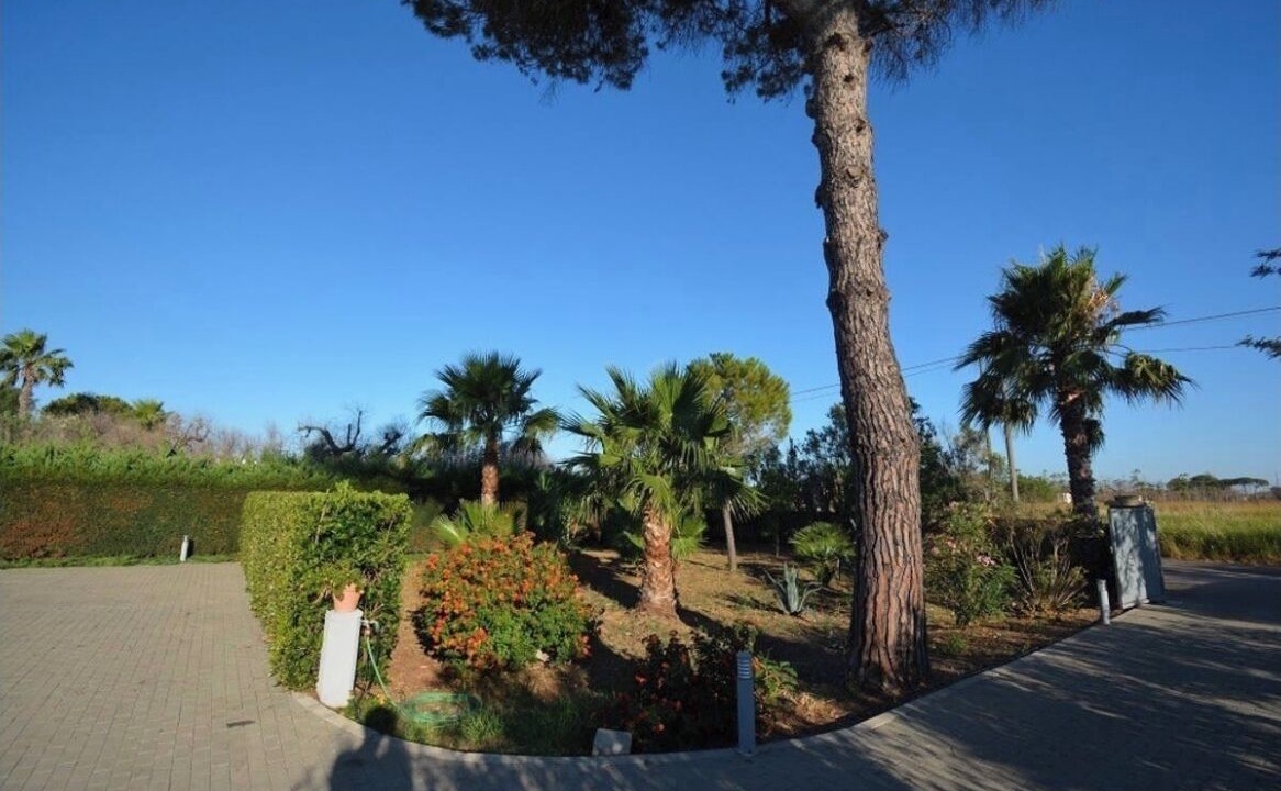 Photo of Outdoor in Matino