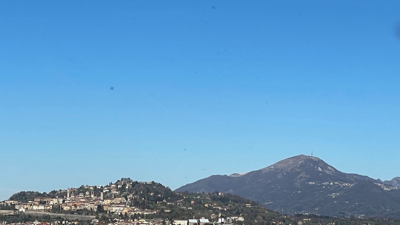 Photo of Others in Bergamo