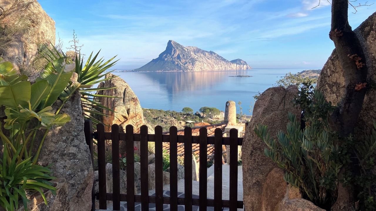 Photo of Outdoor in Maiorca