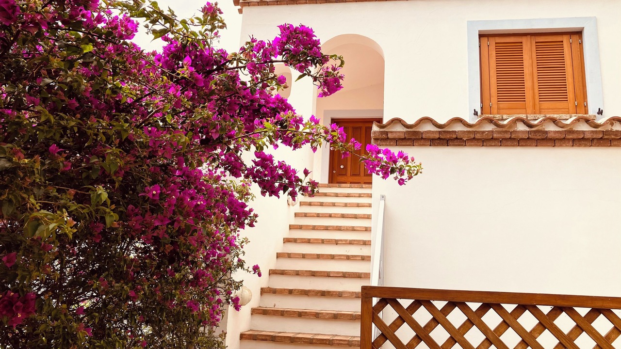 Photo of Outdoor in Maiorca
