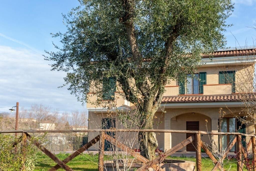 Photo of Outdoor in Morrovalle
