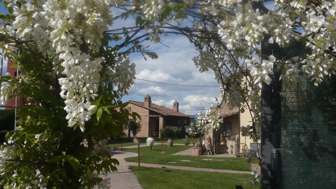 Photo of Outdoor in Castiglione del Lago