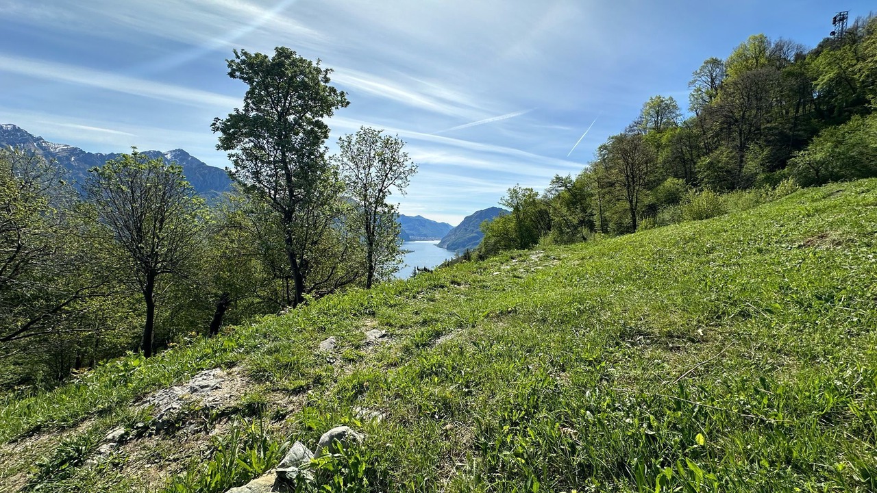 Photo of Others in Civenna