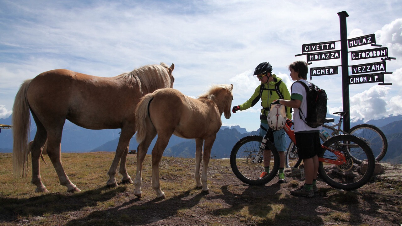 Photo of Others in Selva di Cadore