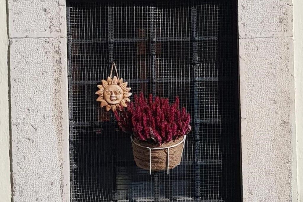 Photo of Outdoor in Barrea