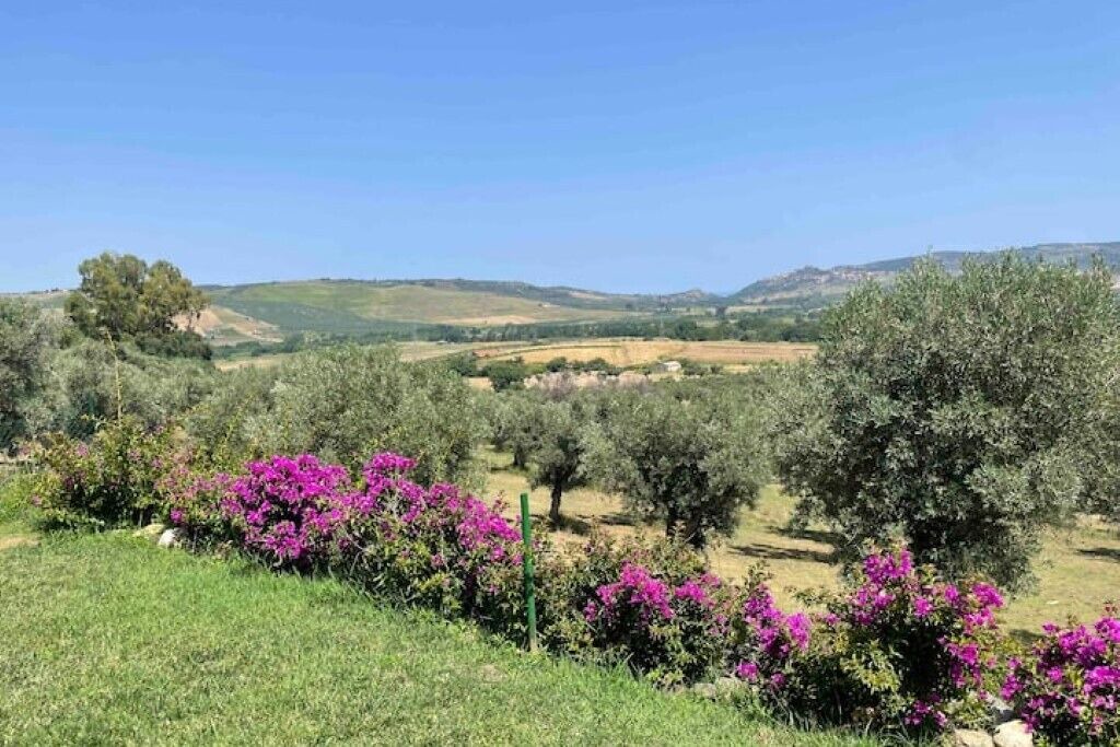 Photo of Outdoor in Amaroni