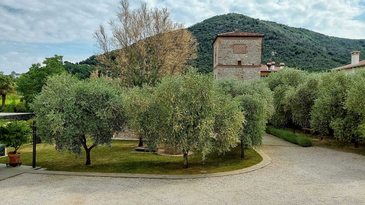 Photo of Outdoor in Valsanzibio