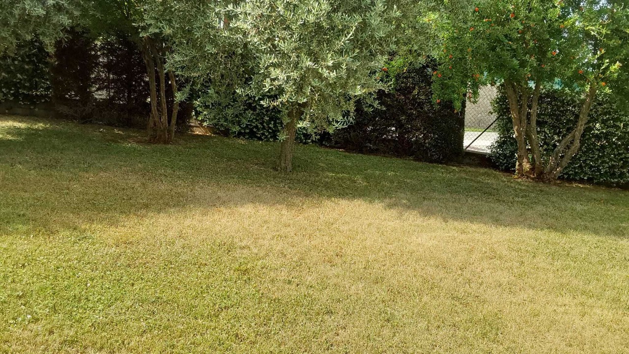 Photo of Outdoor in Valsanzibio