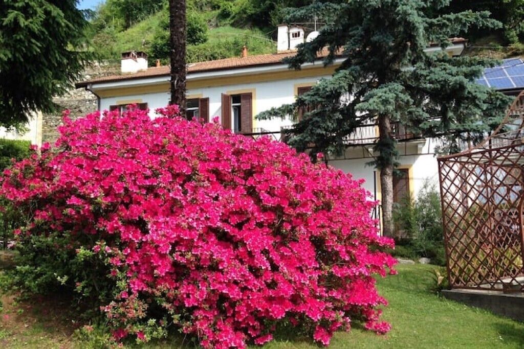 Photo of Outdoor in Nebbiuno