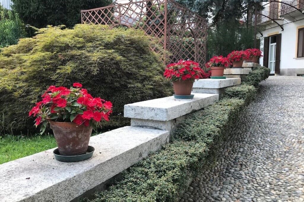 Photo of Outdoor in Nebbiuno