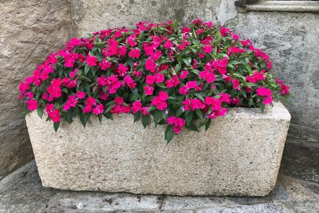 Photo of Outdoor in Nebbiuno