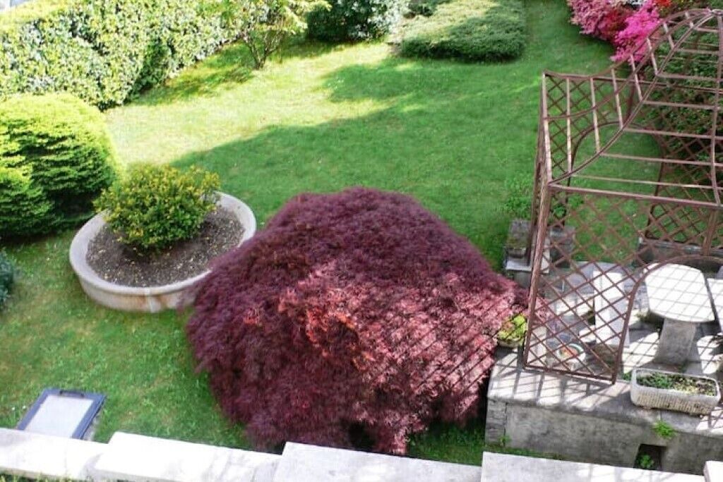 Photo of Outdoor in Nebbiuno