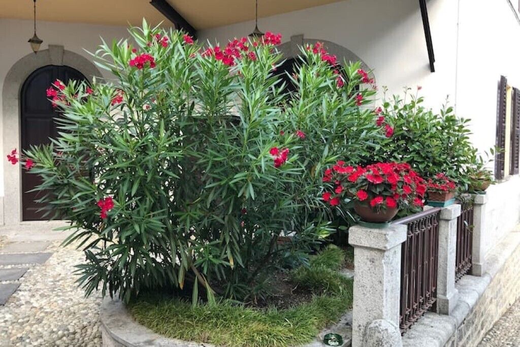Photo of Outdoor in Nebbiuno