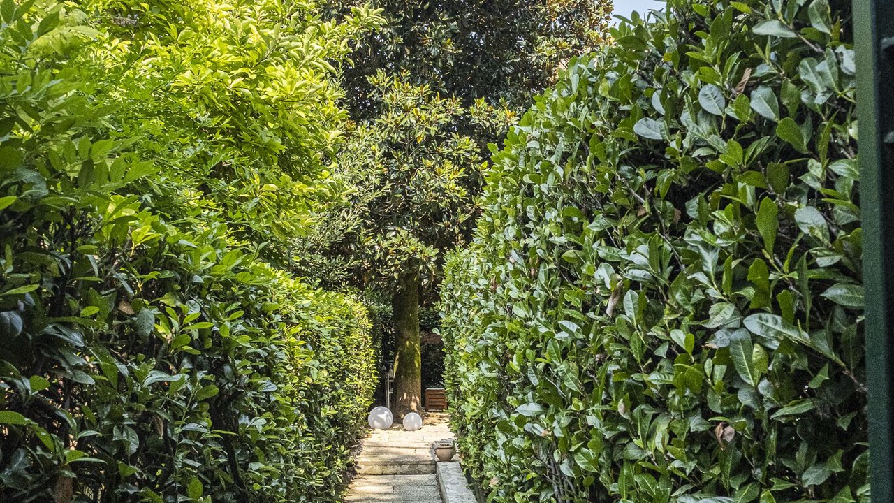 Photo of Outdoor in Selvazzano Dentro