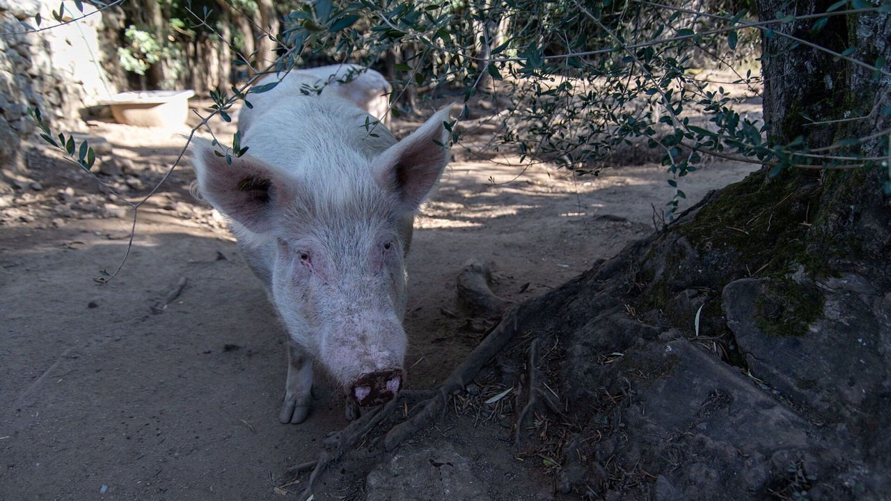 Photo of Outdoor in Sant'Antonio di Gallura