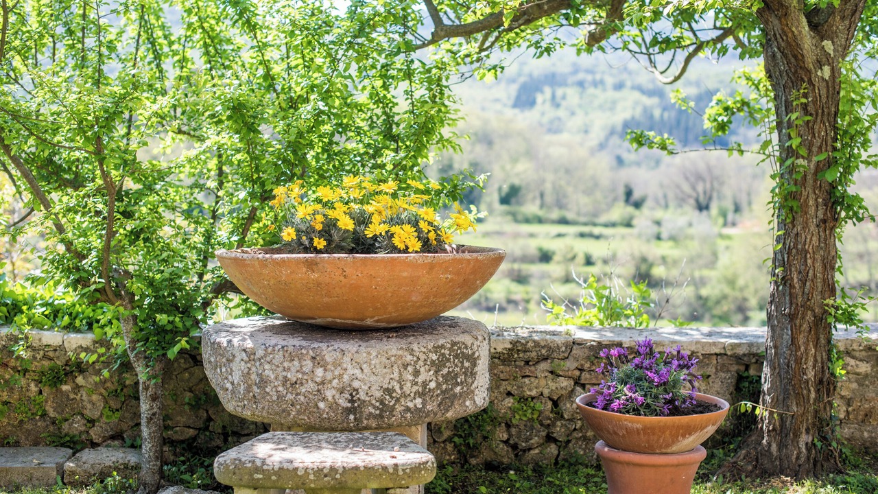 Photo of Outdoor in Sovicille