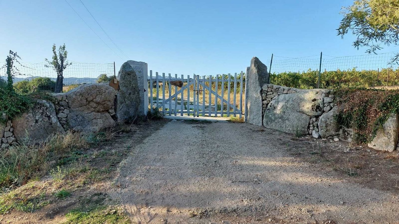 Photo of Outdoor in Luras