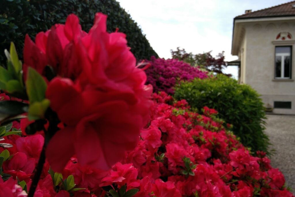 Photo of Outdoor in Luino