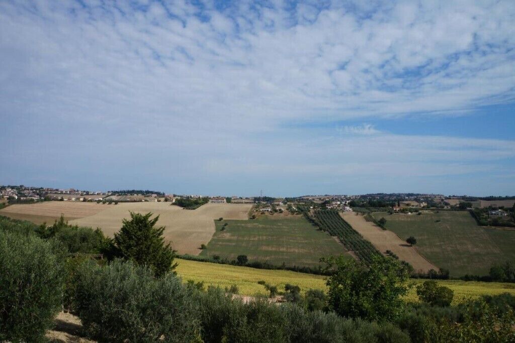 Photo of Others in Fermo
