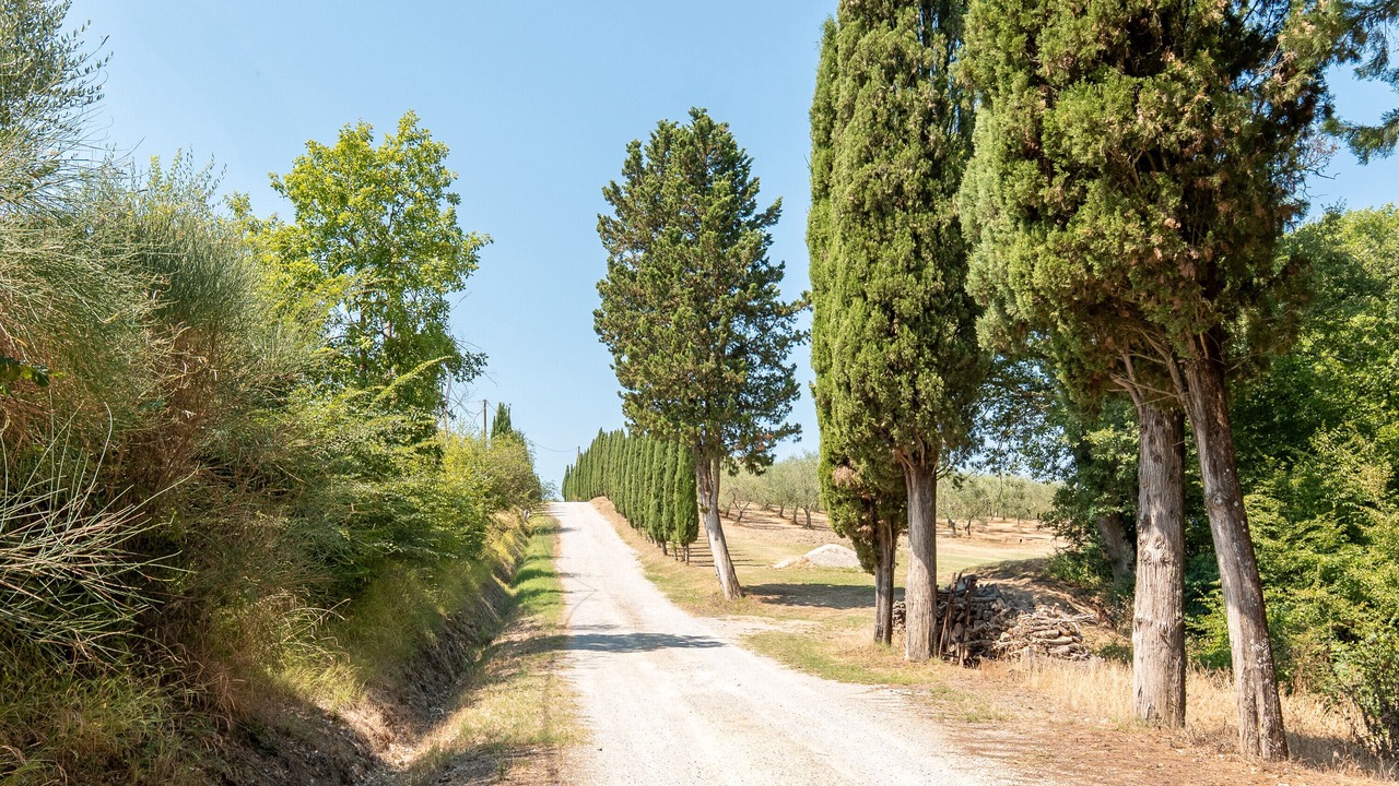 Photo of Others in Bollano