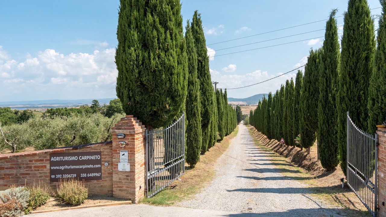 Photo of Others in Bollano