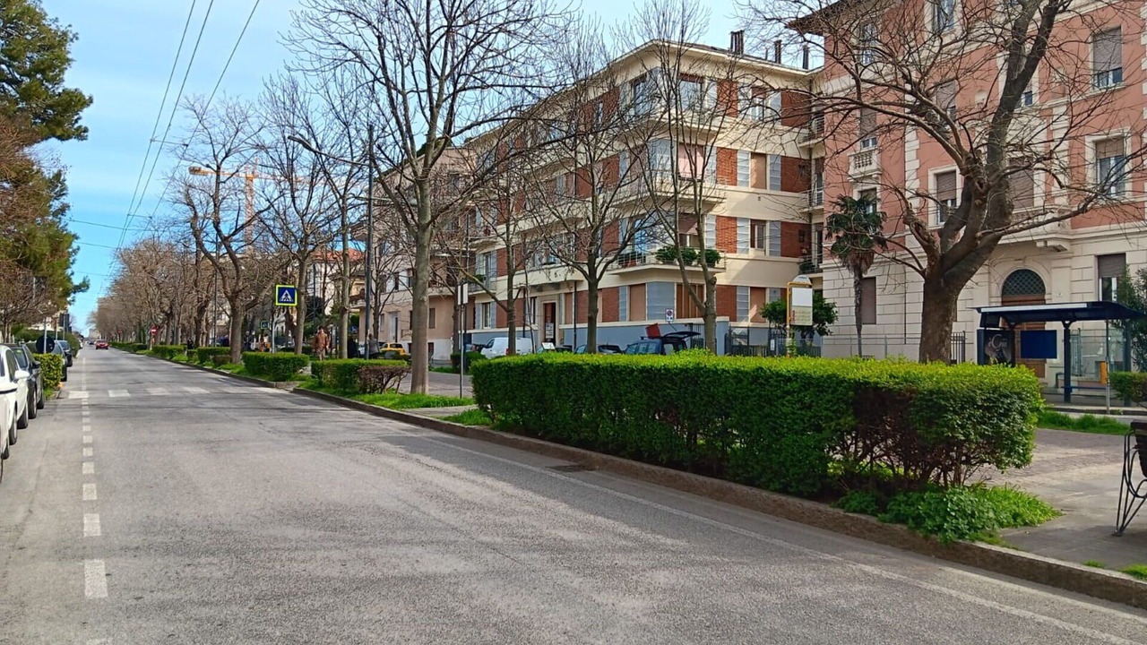 Photo of Others in Ancona