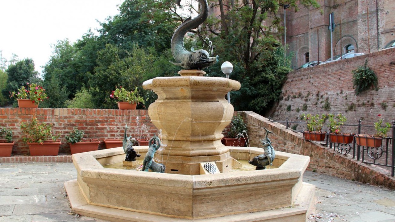 Photo of Outdoor in Siena Historical Center