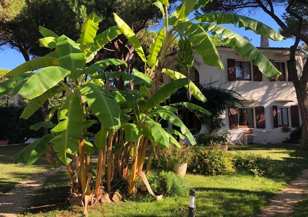 Photo of Outdoor in Santa Margherita di Pula