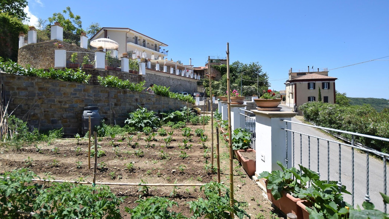 Photo of Others in Laureana Cilento