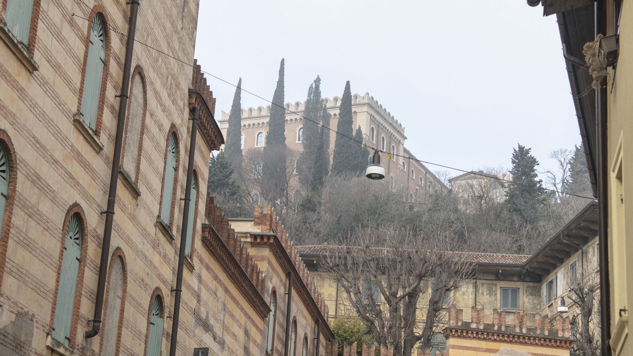 Photo of Others in Verona City Centre