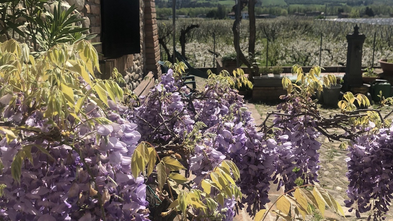 Photo of Outdoor in Vignola