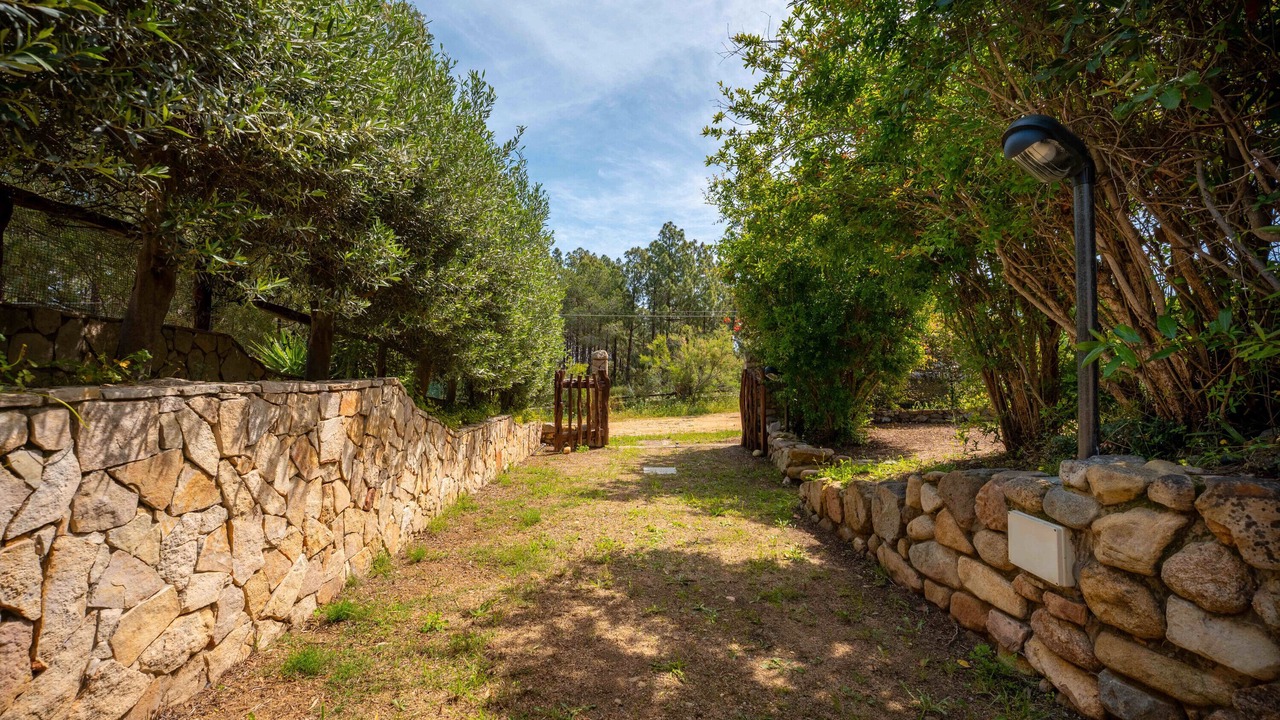 Photo of Outdoor in Cala Sinzias