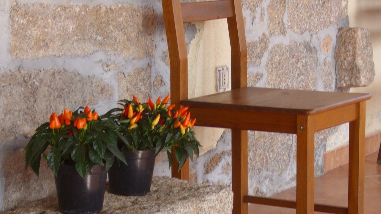 Photo of Outdoor in Sa Castangia