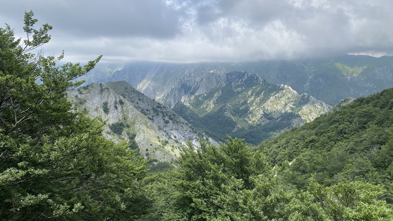 Photo of Outdoor in Molazzana
