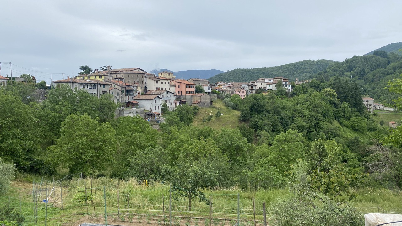 Photo of Outdoor in Molazzana