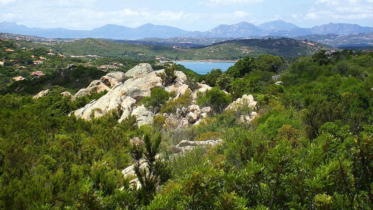 Photo of Others in Monte Petrosu