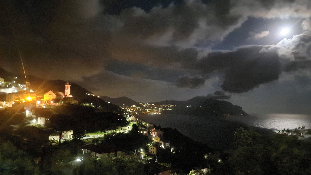 Photo of Others in Pieve Ligure