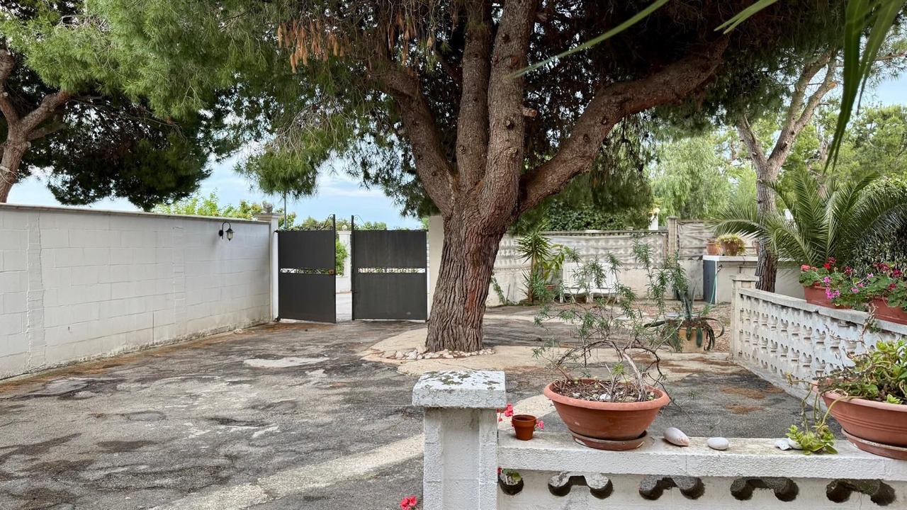 Photo of Outdoor in Trani